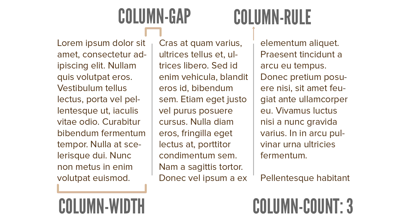 Visualization of column layout and the different properties.