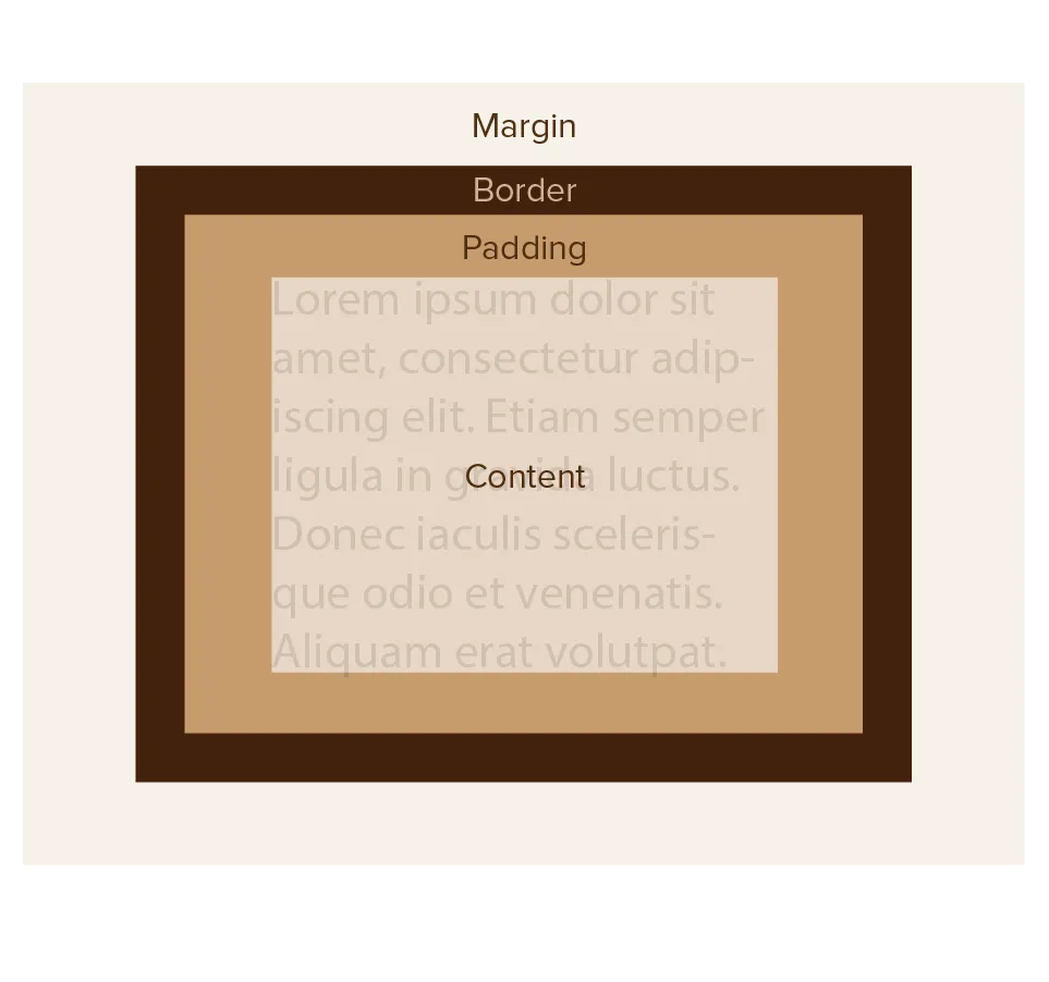 Visualization of the CSS box model (margin, border, padding, content)
