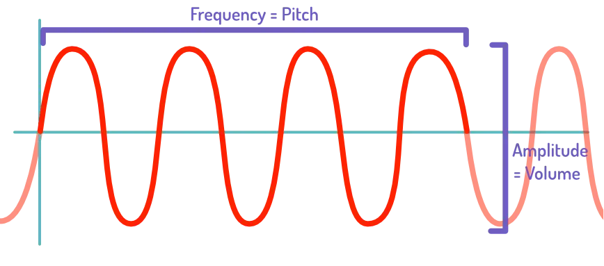 Terminology for sound waves; amplitude and frequency.
