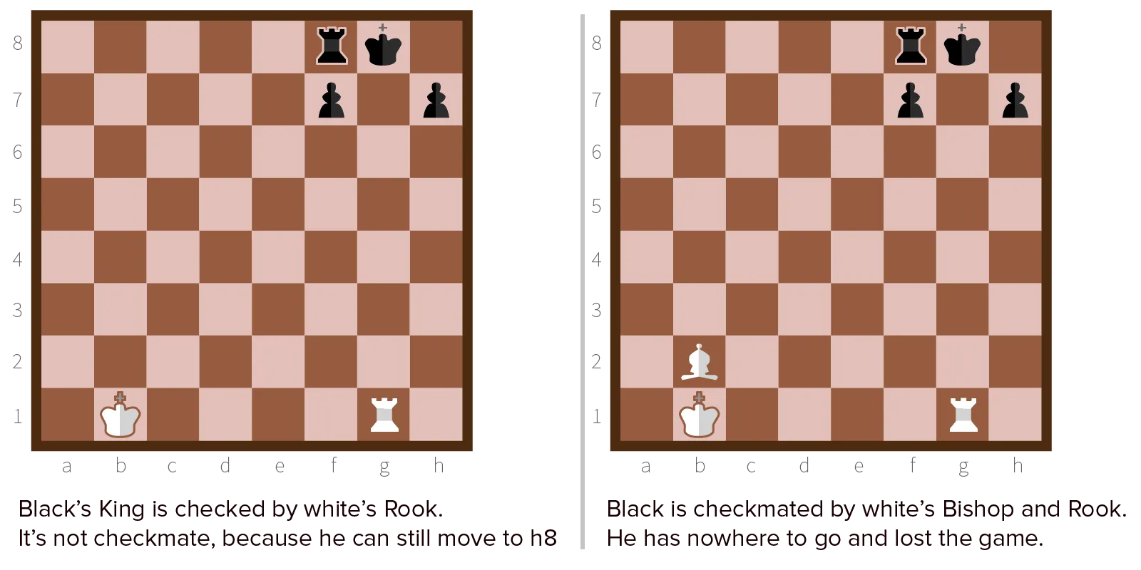 Visual example of checking and checkmate!