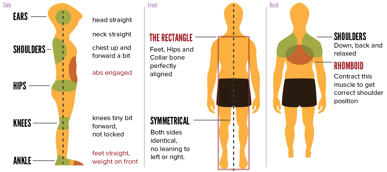 Overview of good posture from side, front and back.
