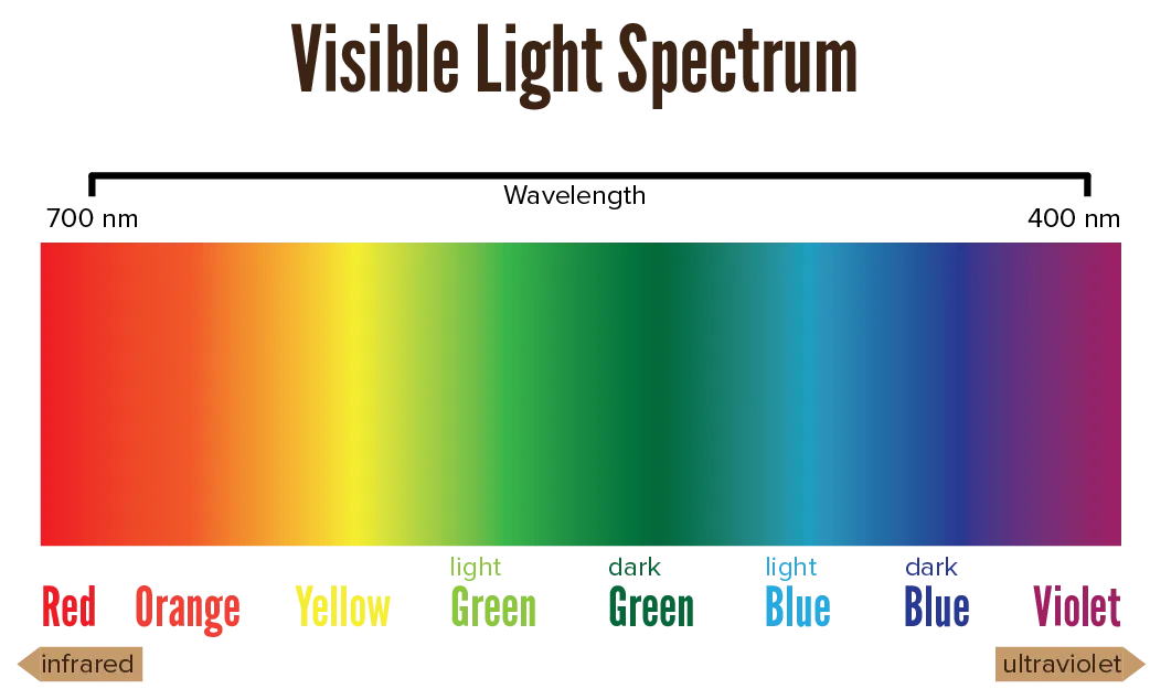 The range of light that we can see.