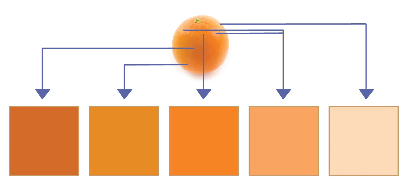 Example of establishing a colour palette.
