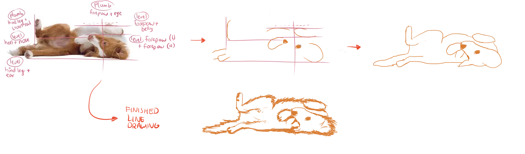 Example of using the Plumb & Level method for proportions.