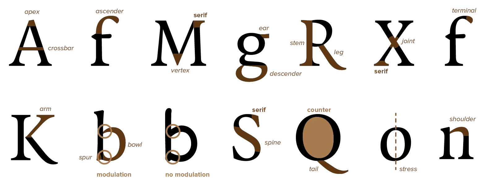Names for common parts in letterforms.