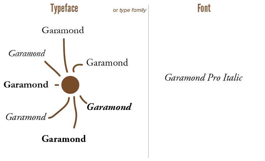 Showing the distinction between typeface (type family) and font